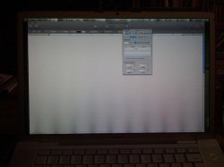 IMG_0665.jpg