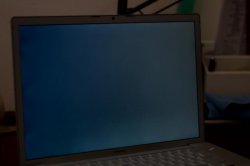 DSC_0378.jpg