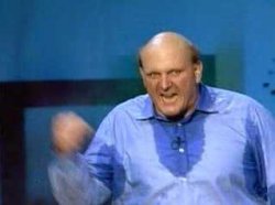 ballmer_developers.jpg