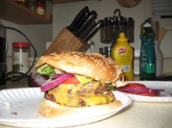 IMG_0855.JPG