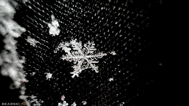 265A77C4-6D07-47EA-BF19-95B0A9F78BE9.jpeg