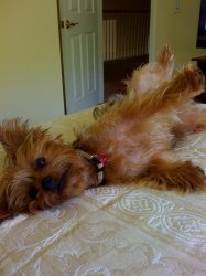 Nikki relaxing.jpg