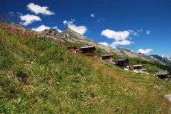 SwissTrip047 (Medium).JPG