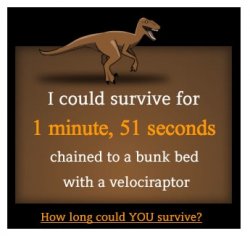 raptor.jpg