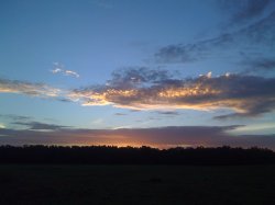 Picture 050.jpg