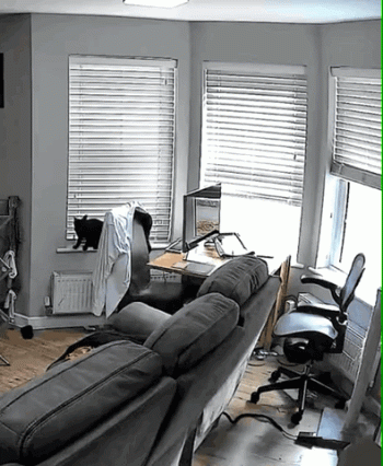 Image.gif