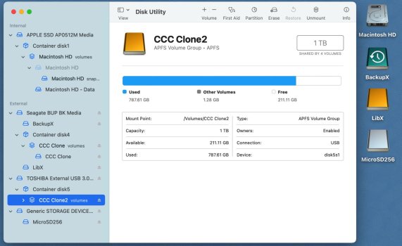 Volumes in Disk Utility.jpg