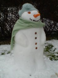 donnas snow.jpg