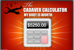 bodyworth.png