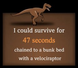 raptor.jpg