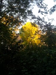 photo.jpg