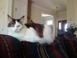 IMG_0107.JPG