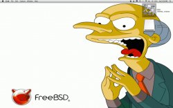 Screen.jpg