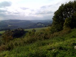 photo-4.jpg