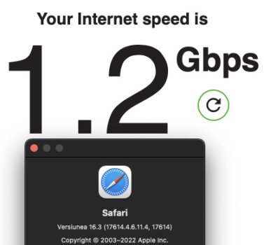 safari.jpg