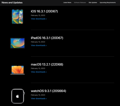 Screenshot 2023-02-13 104255.png