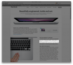 Screencapture 1 copy.png