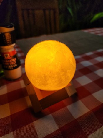moon1.jpg