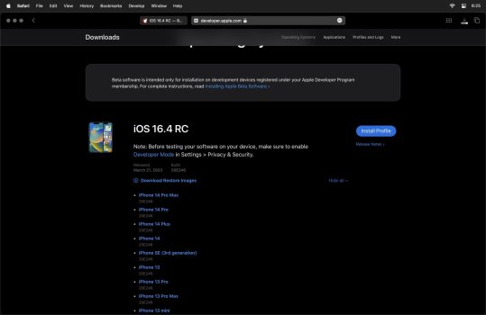 Screenshot 2023-03-21 at 6.25.29 pm.jpg