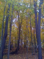 IMG_0049.JPG