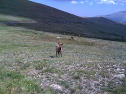 IMG_0076.JPG