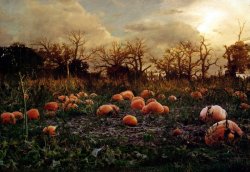 Haunted Pumpkin Patch.jpg