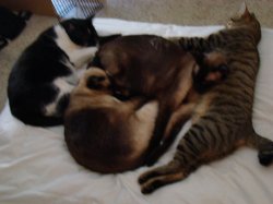DSC00264.jpg