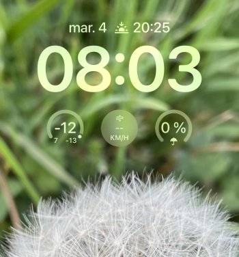 IMG_7224.jpeg
