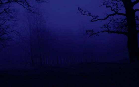 Screen Shot 2023-04-09 at 15.53.02.jpg