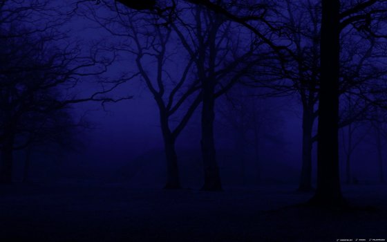 Screen Shot 2023-04-09 at 15.52.35.jpg