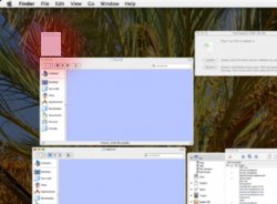 window.jpg