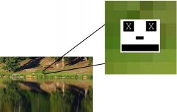 dead.jpg