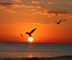 IMG_3880.JPG