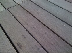 IMG_0097.JPG