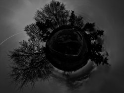 1225301859365bw.jpg