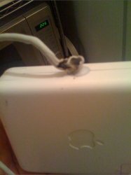 Picture 14.jpg