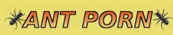 Picture 1.png