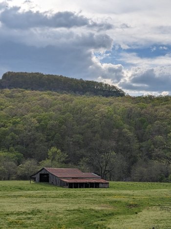 PXL_20230413_222328345.jpg
