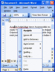 spell-check-drop-down.gif