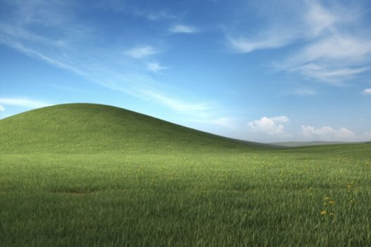 bliss-update-800x533.jpg