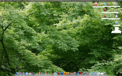 Picture 1.png