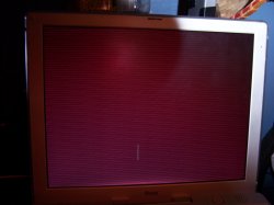 100_0350.jpg