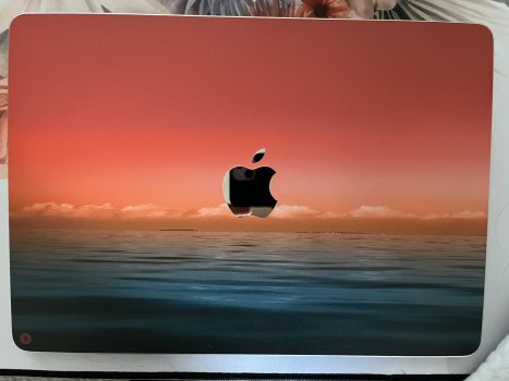 IMG_0805.jpeg