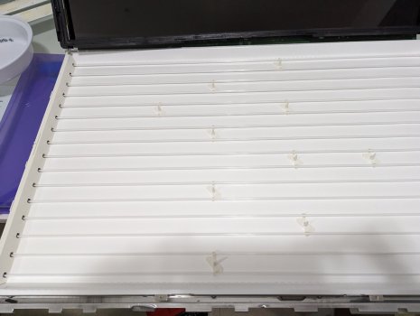 PXL_20230822_033031734.jpg