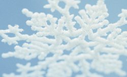 Snowflake.jpg