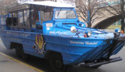 Waterfront Wanda-Duck.JPG