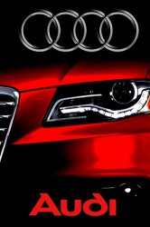 AudiWall.jpg