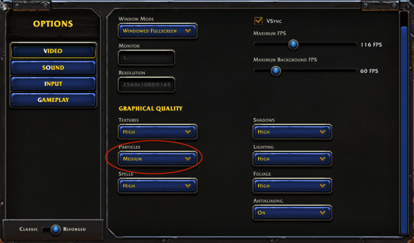WC3RF Graphic settings for AS Macs.png