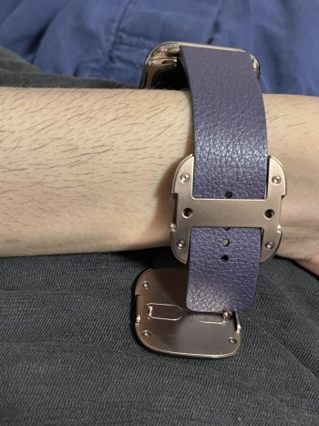 Aubergine5.jpg