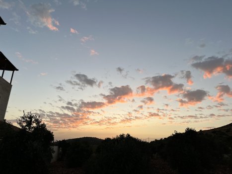 IMG_8160.jpeg